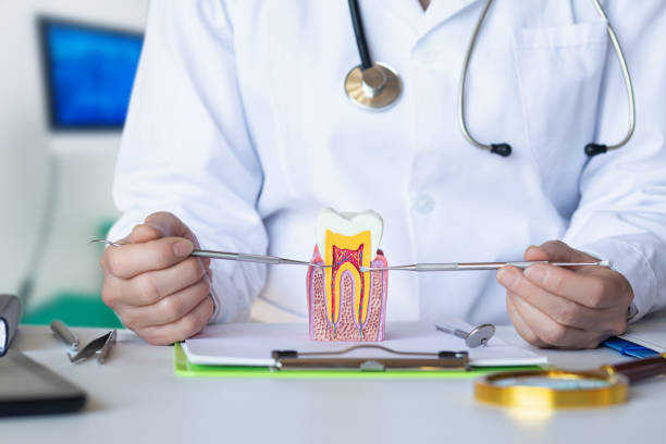 Best Emergency Root Canal Treatment in India Hook, SC